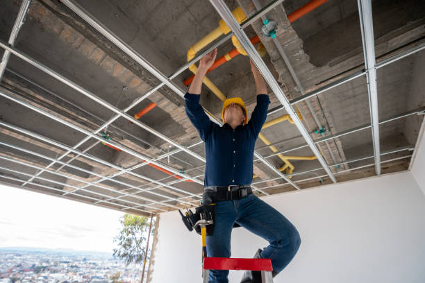 Best Emergency Plumber  in Cedville, AR